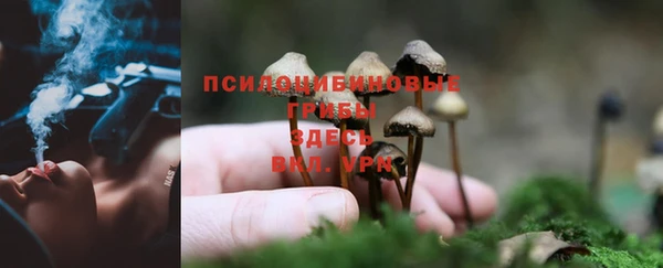 круглые Беломорск