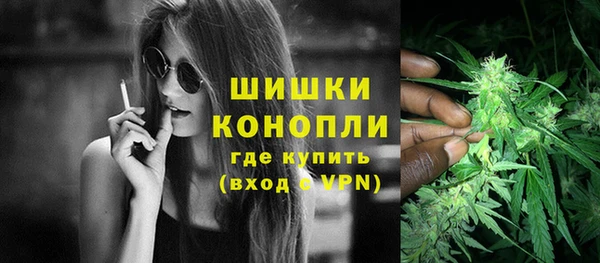тгк Весьегонск