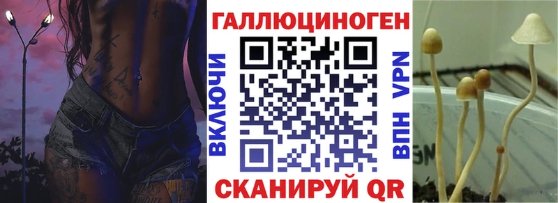 Галлюциногенные грибы прущие грибы  закладка  Невель 